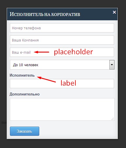 Рзница между placeholder и label