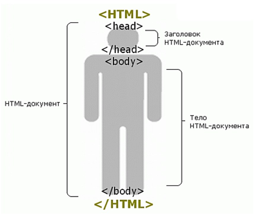 Теги тела документа. Структура html. Строение html страницы. Общая структура html документа. Структура html5 документа.